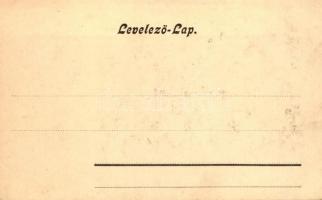 Brassó, Kronstadt; Postarét / Postwiese / Livadia Pustei, Verlag der Buchhandlung Ciurcu