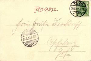 Plön, Seegarten; Verlag von F. Henning