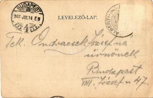 Albertirsa, Irsay György kastélya; kiadja Levien és társa (b)