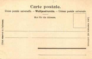 10 db megíratlan, hosszú címzéses svájci képeslap / 10 unused pre-1904 Swiss postcards