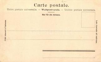 10 db megíratlan, hosszú címzéses svájci képeslap / 10 unused pre-1904 Swiss postcards