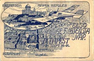 1924 Budapest-Esztergom, Első Magyar Filatelista Nap, Posta repülés / First Hungarian Philatelist Day, Post flight, aircraft, So. Stpl (EK)