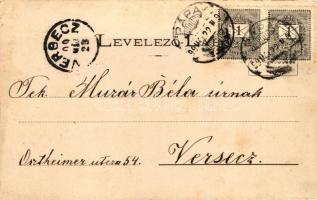 1899 Pápa, Református főiskola, vasútállomás, földmíves iskola, városháza; floral, Goldberg Gyula ki...