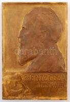 Pásztor János (1881-1945): dr. Entz Géza, AET. Suae70, festett gipsz plakett, jelzett, kopásnyomokkal, 30x20cm