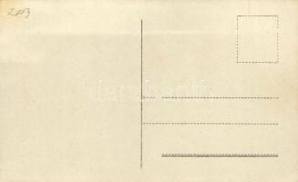 MÁV 203. mozdony / Hungarian State Railways, steam engine photo