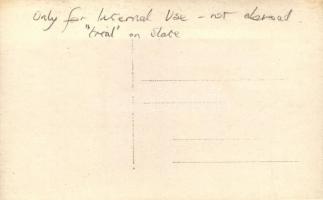 MÁV belföldi tehervagon / Hungarian State Railways, wagon for domestic destination, photo