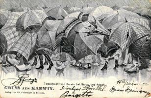 1899 Karviná, Karwin; Sturm und Regen / rainy weather, umbrellas (EB)