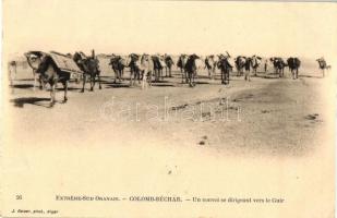 Béchar, Colomb-Béchar; camel caravan (EK)