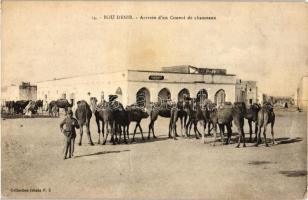 Boudenib, camel caravan, maison Mas