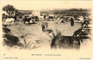 Boudenib, Campement du Goum / horse camp