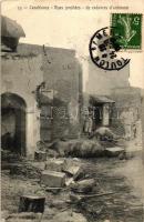 Casablanca, Rues jonchées de cadavres danimaux / street with dead animals (EK)