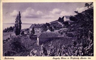 Badacsony - 2 db képeslap