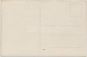 'Anina III' gőzmozdony, Resicai Vasgyár gyártmánya / B1 Kranterderlokomotive der Eisenwerk...