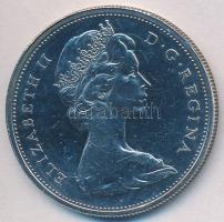 Kanada 1965. 1$ Ag "II. Erzsébet" T:2- polírozott
Canada 1965. 1 Dollar Ag "Elizabeth...