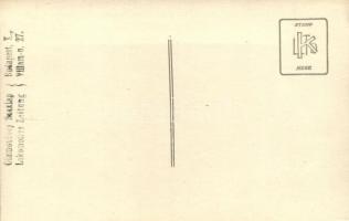 Az Alföld-Fiumei vasút gőzmozdonya / steam engine of the Alföld-Fiume railways, photo