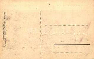 Budapest XIII. Székesfővárosi Fertőtlenítő Intézet, Váci út 174. kiadó Kis Erős G