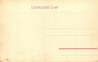 Karánsebes, Caransebes; Zöldfa szálloda, M. Francz Brachtl kereskedése / hotel, shop