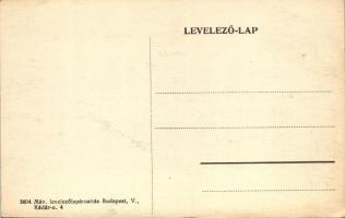 Pelsőc, Látkép / view