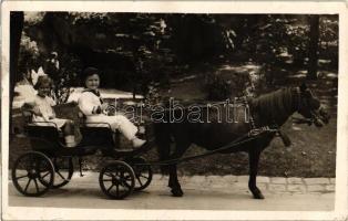 1937 Budapest XIV. Állatkert, lovas fogat gyerekekkel