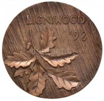 Nagy István János (1938-) 1998. "Sopron 1998 / Ligniwood" Br emlékérem (80mm) T:2