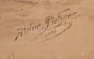 1893 Atelier Pietzner: Előkelő hölgy nagyméretű műtermi fotója kartonra kasírozva, 61x38 cm