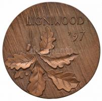 Nagy István János (1938-) 1997. "Budapest / Ligniwood 97" Br emlékérem (79mm) T:2