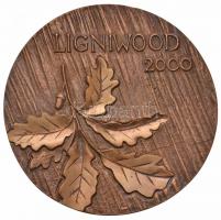 Nagy István János (1938-) 2000. "Tihany Balaton / Ligniwood 2000" Br emlékérem (80mm) T:2