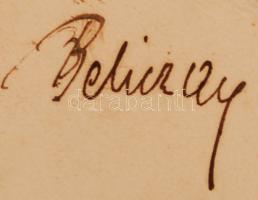 cca 1896 Grófi sarjak díszmagyarban, hátoldalán egy név: Beliczay, talán a Beliczay-családra utal, 2...