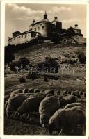 Krasznahorka-váralja, vár, juhnyáj / castle, sheep flock