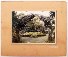 1943 Fridrich (Szentes): Egy szentesi kert színezett fotója, 17x23 cm, karton 29x34 cm
