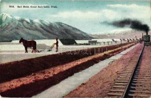 Utah, Great Salt Lake, salt beds, locomotive