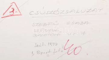 cca 1975 Szegfű Csaba: Csúszózsaluzás, a szerző által feliratozott vintage fotóművészeti alkotás, 30...