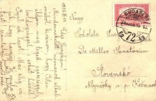 Budapest III. Podoletz Gusztáv csónakháza, Faludi photo