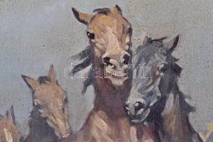 Viski János (1891-1961): Vágta. Olaj, vászon, jelzett, keretben, 60x80 cm