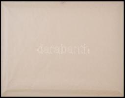 Viski János (1891-1961): Vágta. Olaj, vászon, jelzett, keretben, 60x80 cm