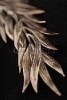 cca 1900 Ezüst pálmalevél, jelzett, Ag., nettó:58 gr., cca 21cm/ Silver Palm Leaf, marked, Ag, net. ...