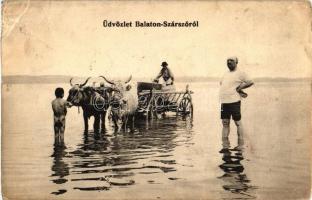 Balatonszárszó, ökör szekér a Balatonban (ázott / wet damage)