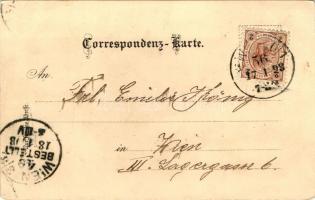 1898 Vienna, Wien, Mariahilferkirche, Haydn Denkmal; Verlag Schneider & Lux / Church, litho