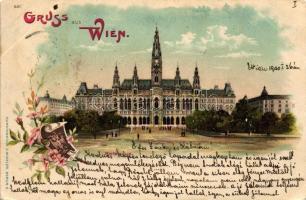 Vienna, Wien, Rathaus, Verlag J. Miesler / town hall, litho