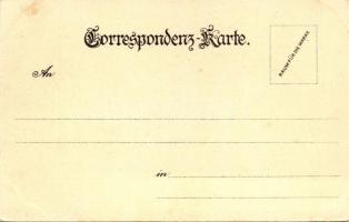 Vienna, Wien, Parlament, litho