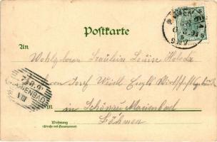 Vienna, Wien, Stadtpark, litho