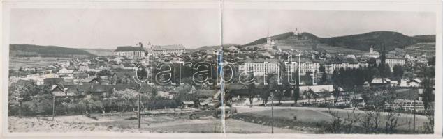 Lőcse, panoramacard (wet damage)