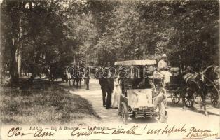 Paris, Bois de Boulogne, La Potiniere / automobiles in the park