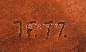 Janzer Frigyes (1939-):E. Izzó SZB -Száz éves a VASAS plakett,bronz, jelzett, , d:12 cm