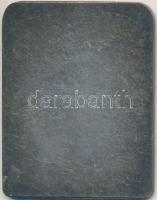 1902. "Budapesti III. Kerületi Magyar Királyi Főgimnázium Testgyakorló Köre" jelzetlen Ag ...