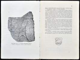 Bevilaqua Borsody Béla: A budai és pesti mészáros céhek ládáinak okiratai 1270-1872. Az ipartársulat...