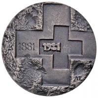 Asszonyi Tamás (1942-) 1981. 1881-1981 / 100 éves a Magyar Vöröskereszt ezüstözött fém emlékplakett eredeti tokban (40mm) T:1