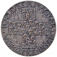 Asszonyi Tamás (1942-) 1981. "1881-1981 / 100 éves a Magyar Vöröskereszt" ezüstözött fém e...