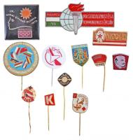 12db vegyes szocialista magyar és külföldi fém jelvény és kitűző, közte "IX. Nyári Úttörő Olimpia Dunaújváros", "Szocialista Országok Camping Találkozója Balatonfüred 1975" T:vegyes