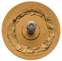 ~1980. "Pécs" zománcozott Br autó hűtőrácsára szerelhető jelvény (76mm) T:2